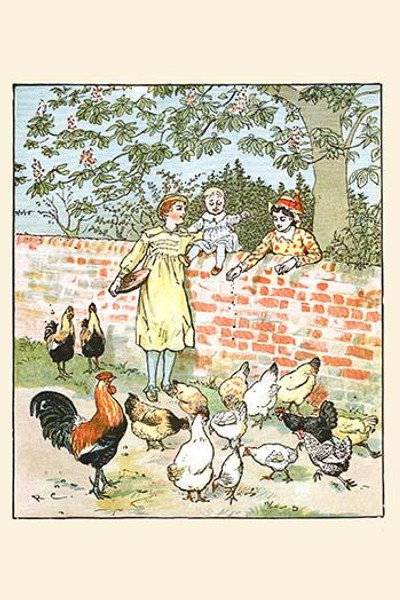 Children feed the chickens