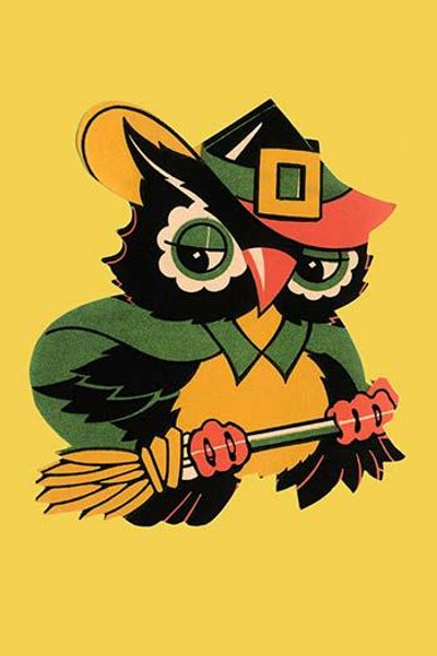 Wizard Owl on Broomstick