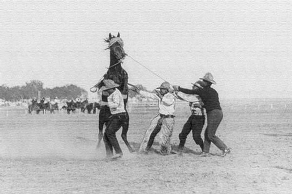 Unruly Butcher Bob, Cheyenne Frontier Days