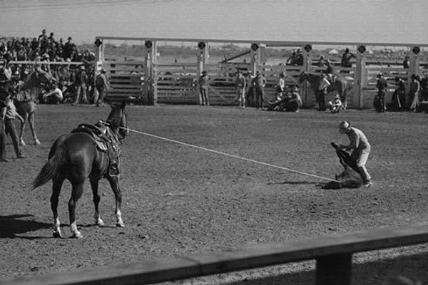 Roping Contest