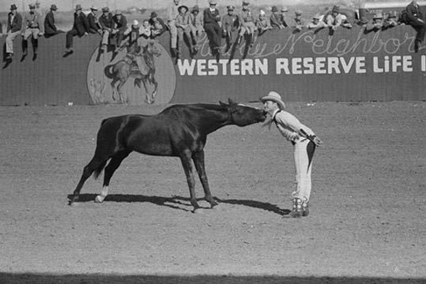 Horse Kiss