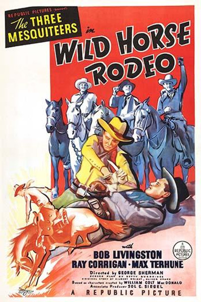 Wild Horse Rodeo