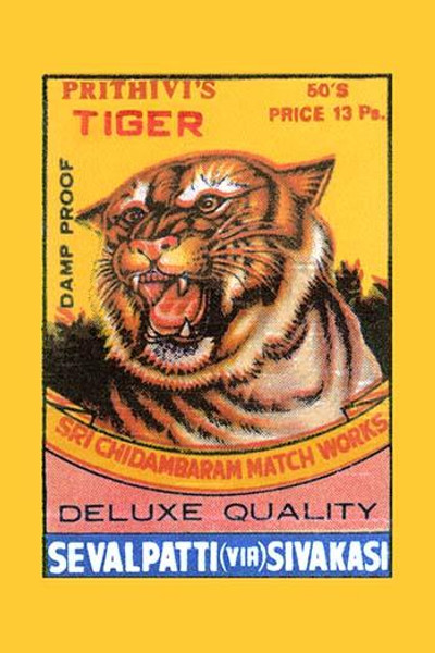 Prithivi's Tiger