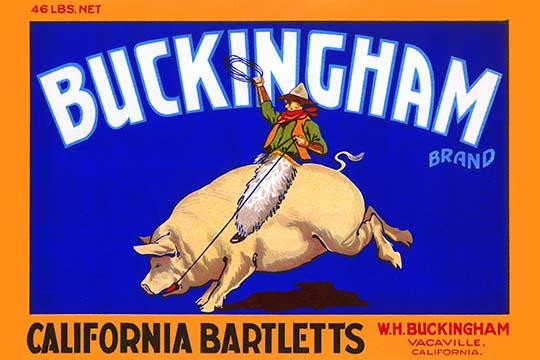 Buckingham California Bartletts