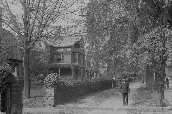 Residential Tree Lined Street in Germantown