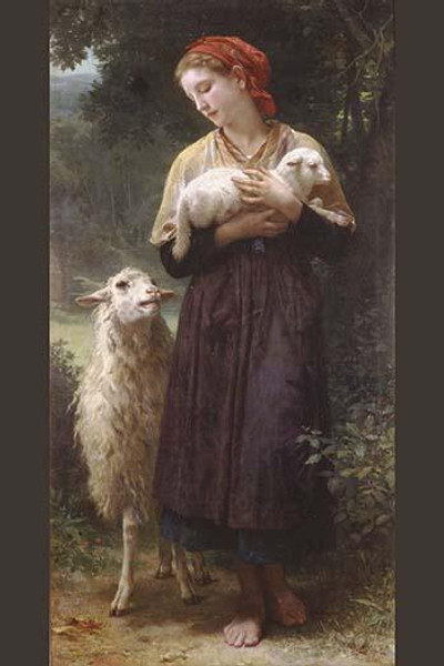 The Newborn Lamb