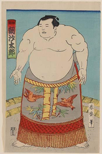 Sumo Wrestler