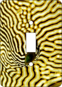 Puffer Fish  Switch Plate Cover (African American Single Switch Plate)