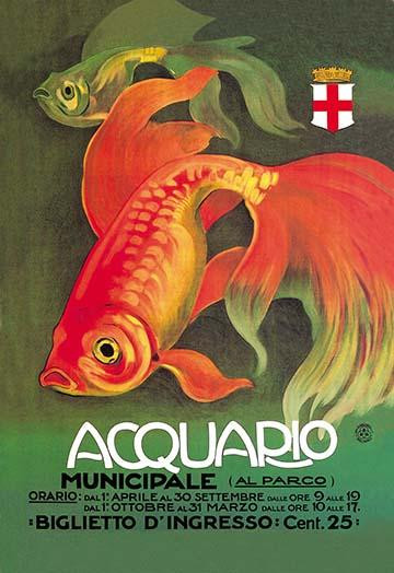Acquario