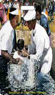 Baptism II Luggage Tag