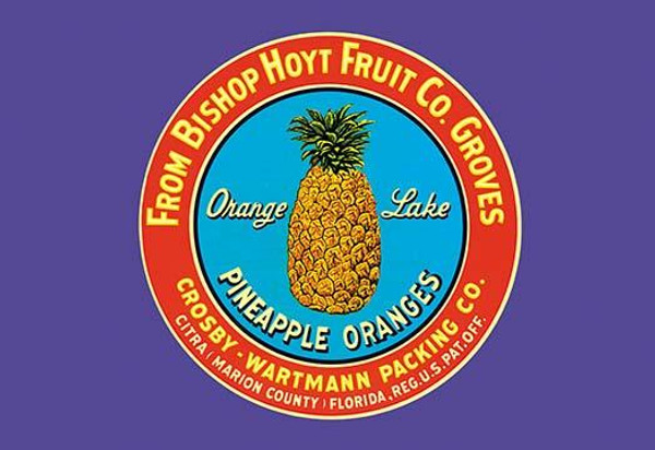 Orange Lake Brand Pineapples Orange Lake Brand Pineapples
