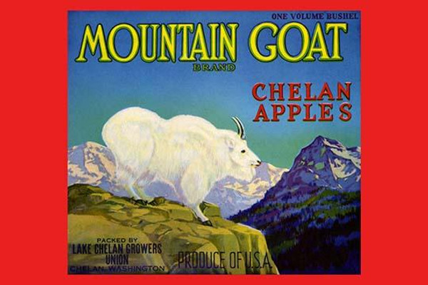 Mountain Goat Chelan Apples