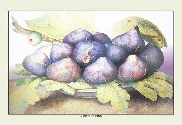 A Dish of Figs