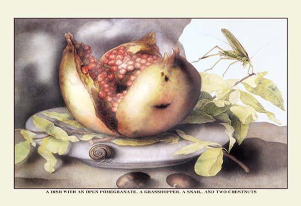 A Dish with a Pomegranate, a Grasshopper, a Snail, and Two Chestnuts