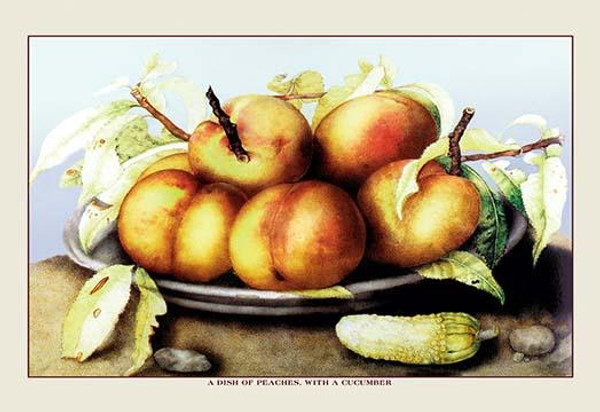 A Dish of Peaches with a Cucumber