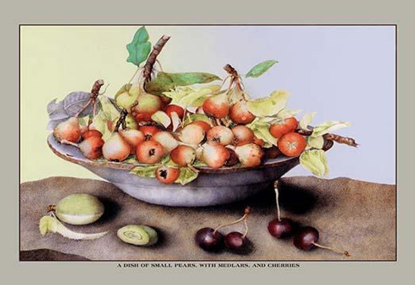 A Dish of Small Pears With Medlars and Cherries