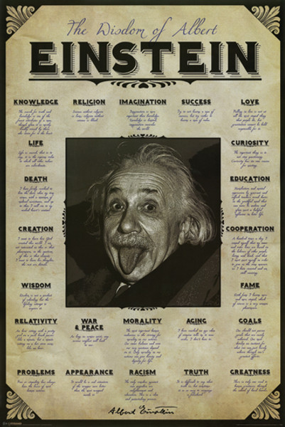 Albert Einstein Wisdom Poster