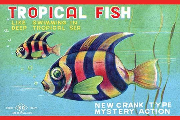 Tropical Fish