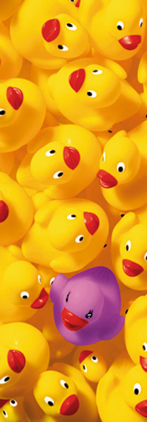 Quack Quack II Poster