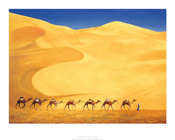 Tuareg Camel Train Poster