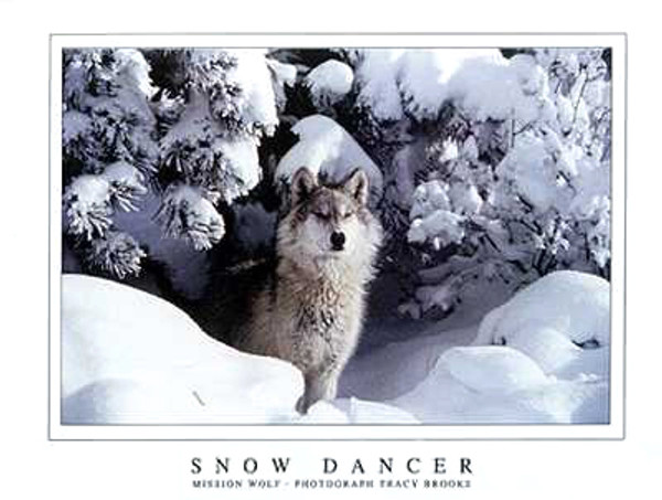 Snow Dancer Poster