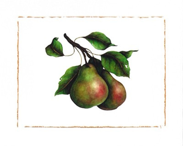 Comice Pear Poster