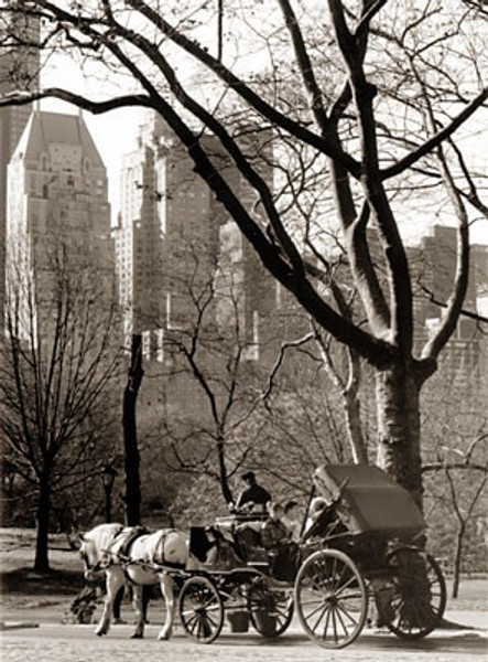 Central Park / Carriage Poster