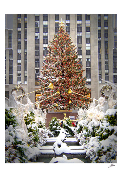Christmas Tree at Rockefeller Center Poster