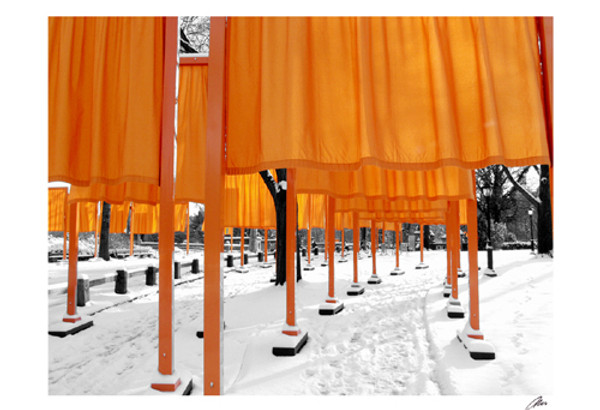 Looking Through the Gates, Central Park Poster