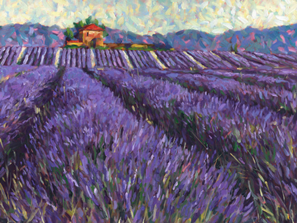 Lavender Fields I-1 Poster