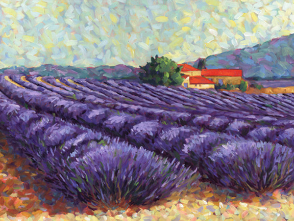 Lavender Fields II-1 Poster