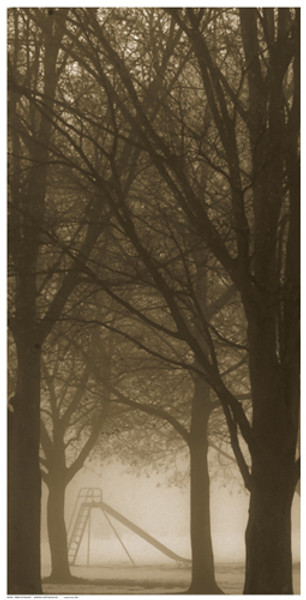 Trees in the Mist Poster