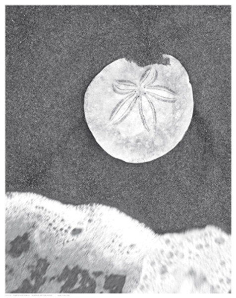 Sand Dollar and Surf Poster