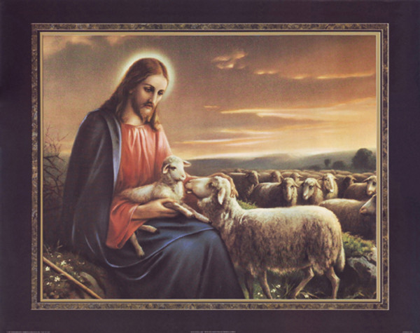 Jesus with Lamb Poster