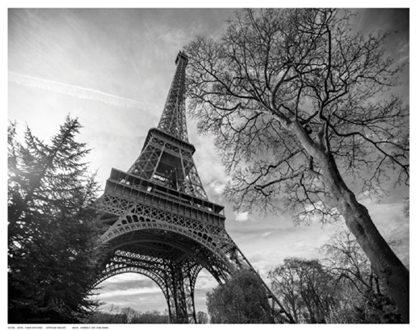 Eiffel Tower with Tree Poster