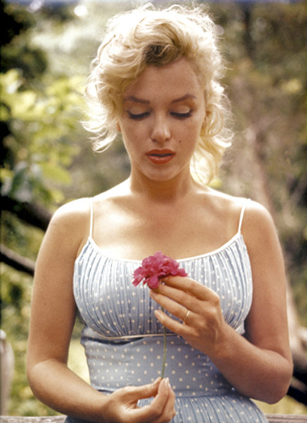 Marilyn Monroe, Flower Poster