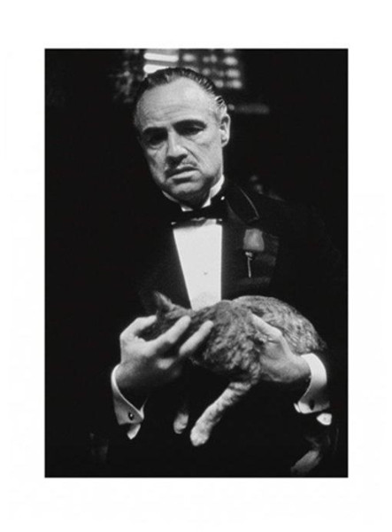 The Godfather (Brando & Cat) Poster