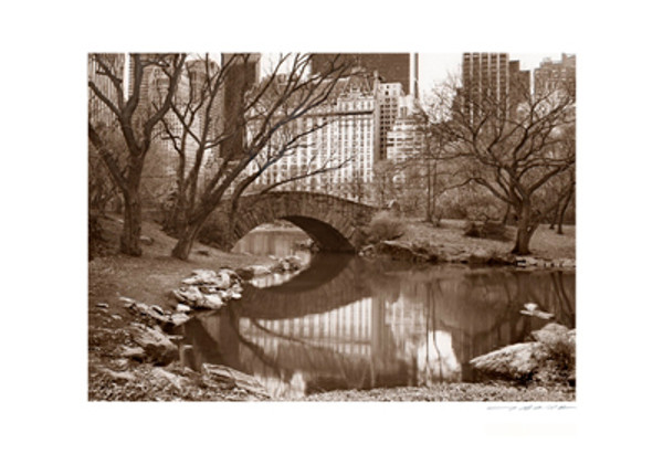 Central Park & Plaza (sepia) Poster