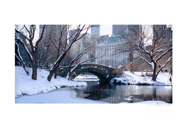 Central Park, Winter Poster