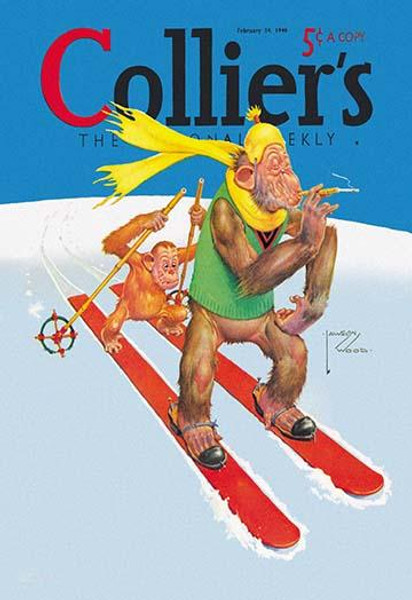 Skiing Monkeys