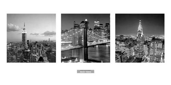 Views of New York I Poster