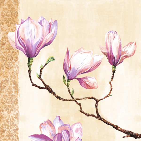 Magnolias on Pink Poster