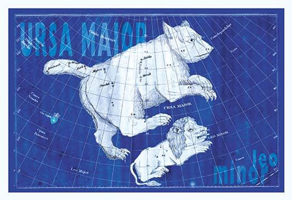 Ursa Major and Leo Minor #3