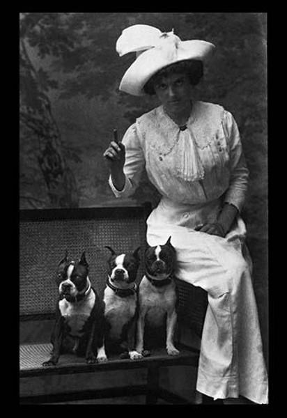 Mrs. Rhoades and Her Three Boston Terriers