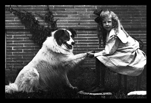 Girl Shaking Hands with Dog