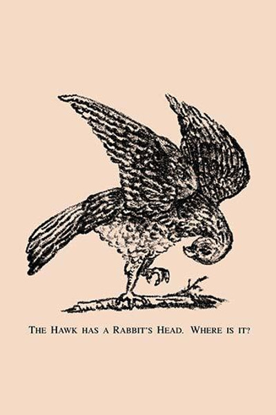 The Hawk Has a Rabbit's Head. Where is it?