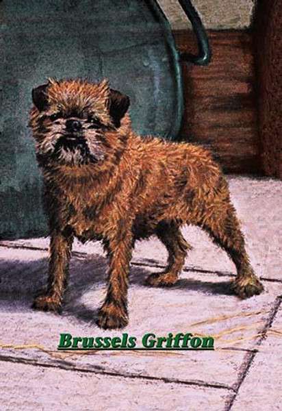 Typical Brussels Griffon Champion