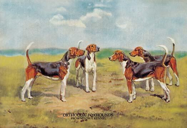 Orthodox Foxhounds