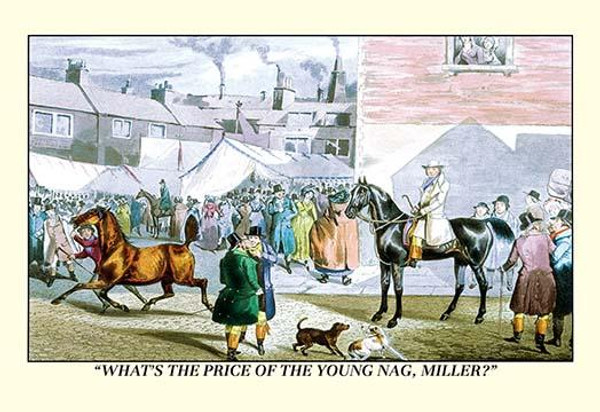 What's the Price of the Young Nag, Miller?