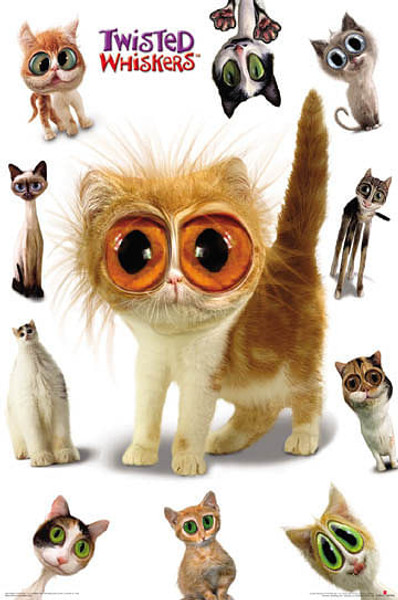 Twisted Whiskers Cats Q385-2550-24x36_AN